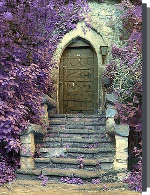 AkashicDoor-conv